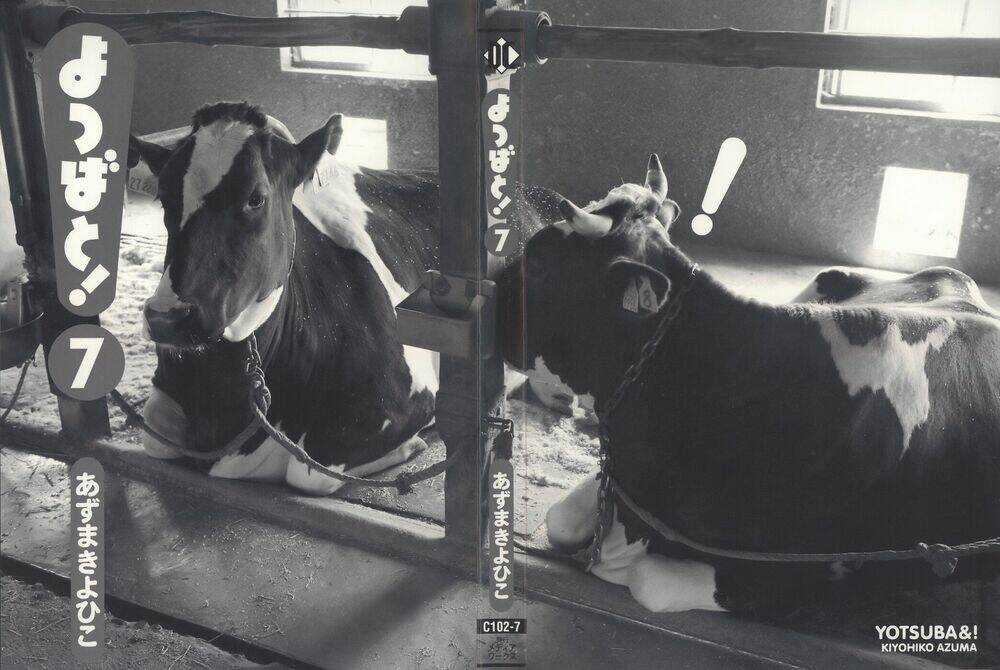 Cỏ Bốn Lá - Chapter 42 - Trang 4