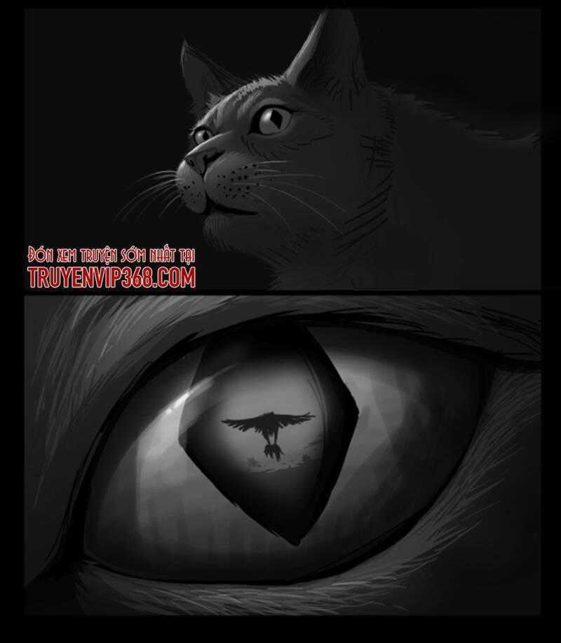 Cỏ Dại - Chapter 3 - Trang 13