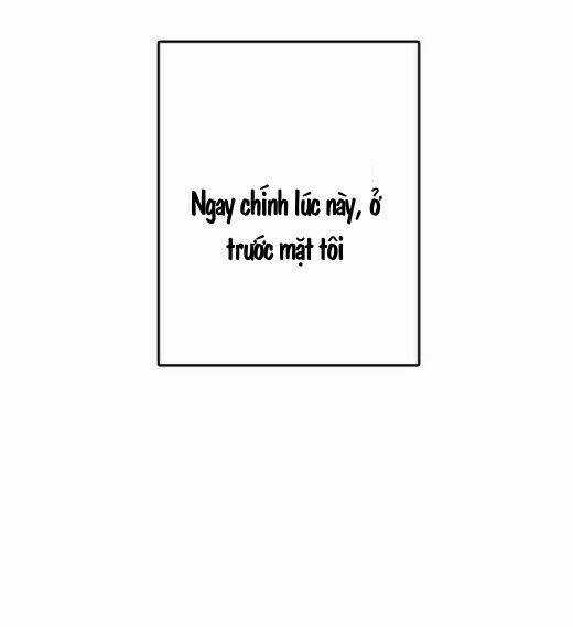 Cô Dâu Của Elysian - Chapter 1 - Trang 14