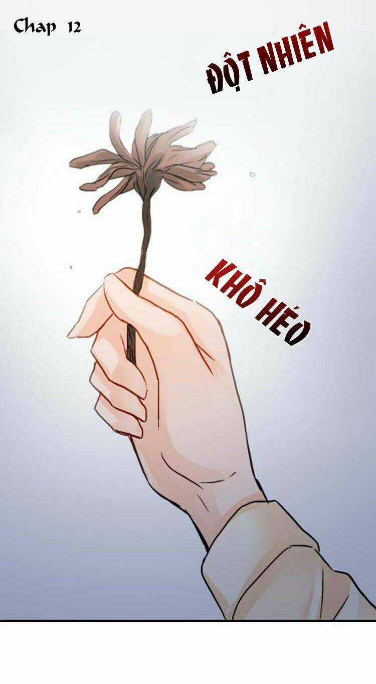 Cô Dâu Của Quỷ - Chapter 12 - Trang 3