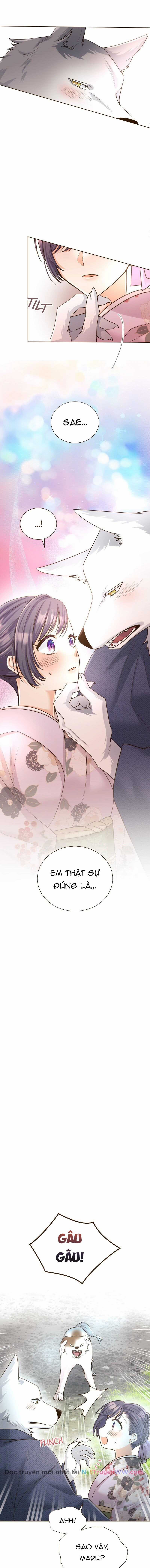 Cô dâu của sói trắng - Chapter 28 - Trang 7
