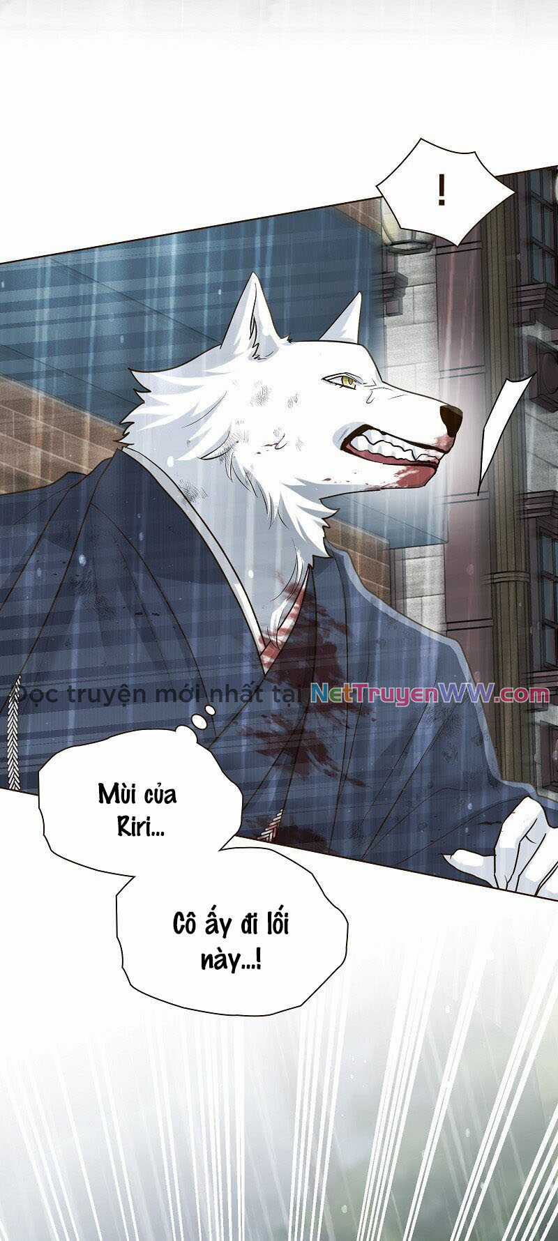 Cô dâu của sói trắng - Chapter 42 - Trang 3