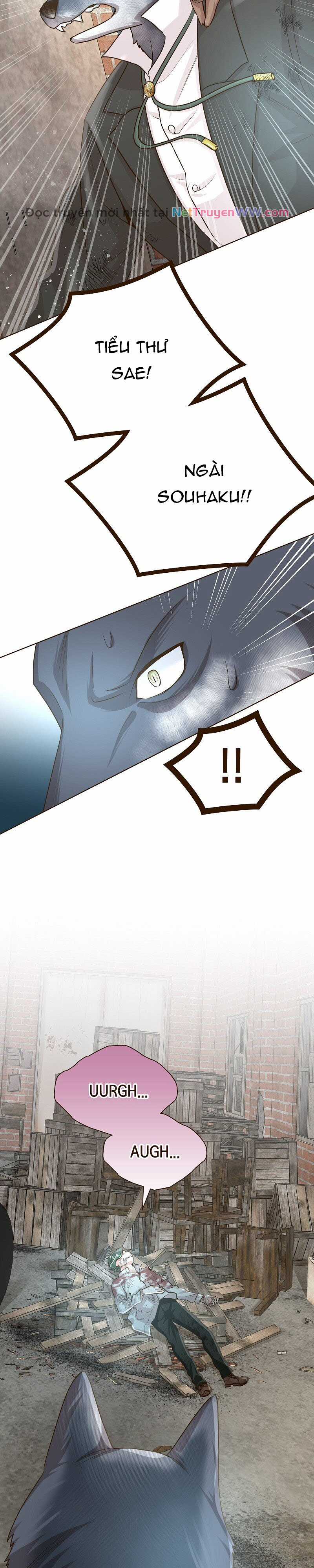 Cô dâu của sói trắng - Chapter 44 - Trang 4