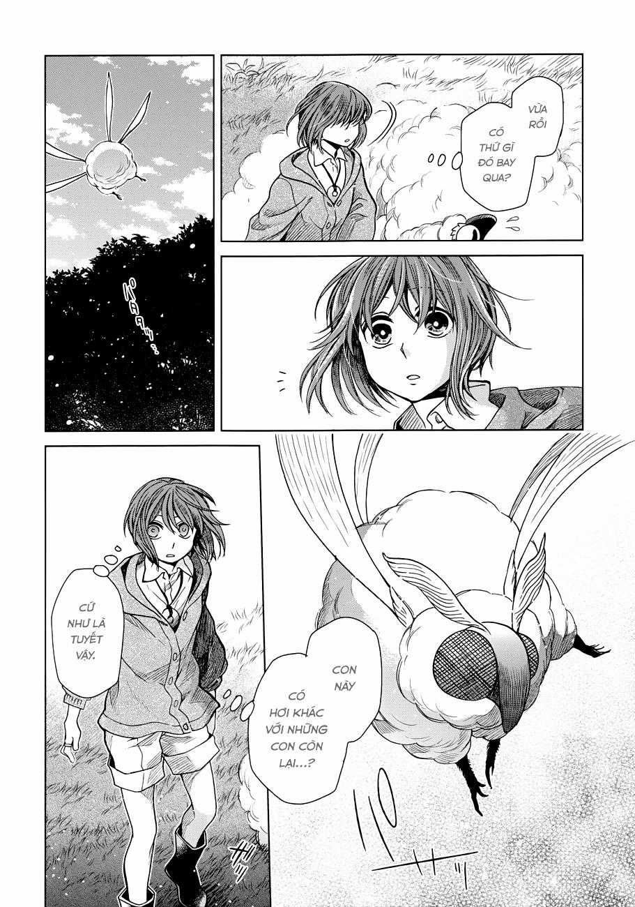 Cô Dâu Pháp Sư - Chương 19 - Trang 14