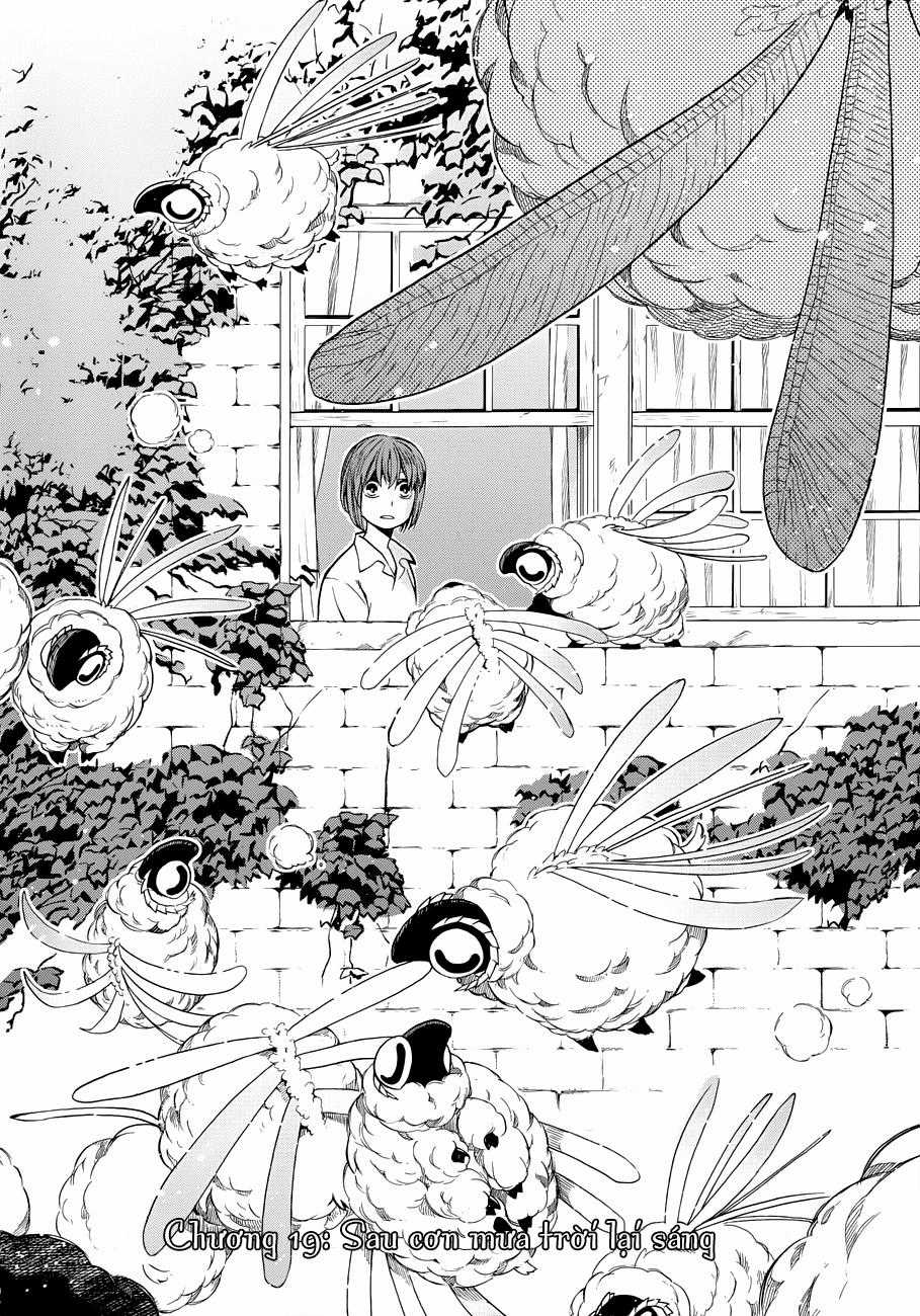 Cô Dâu Pháp Sư - Chương 19 - Trang 6