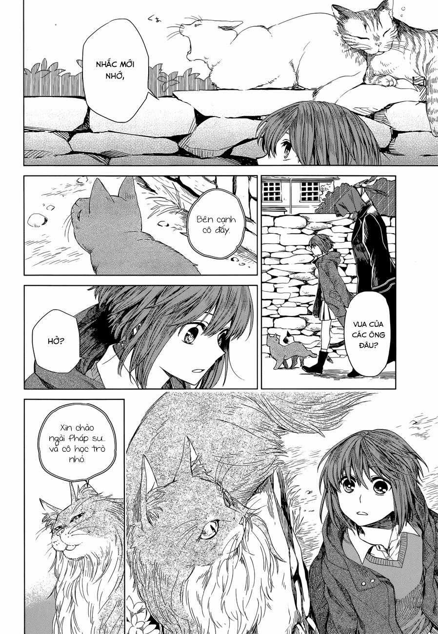 Cô Dâu Pháp Sư - Chương 4 - Trang 14