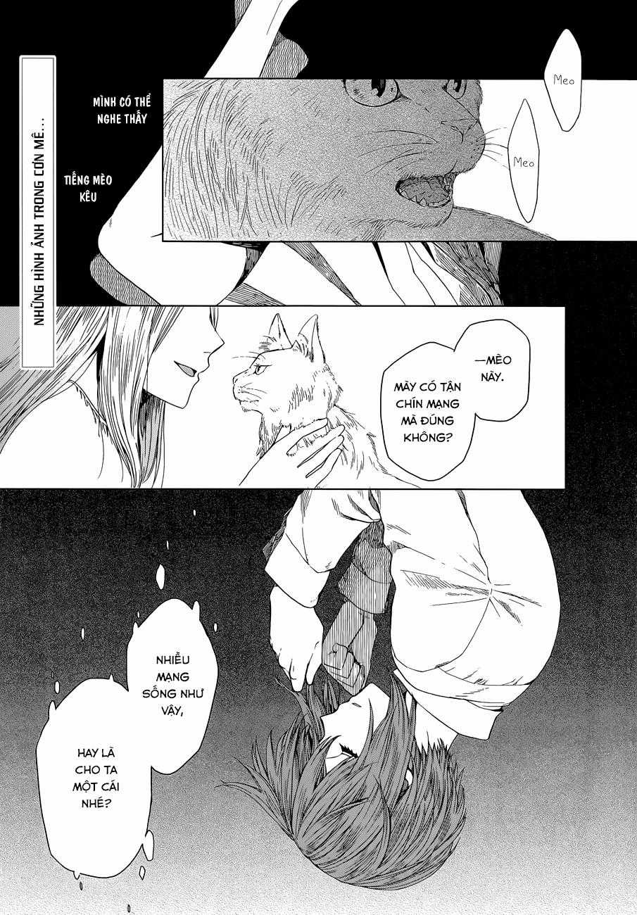 Cô Dâu Pháp Sư - Chương 4 - Trang 3