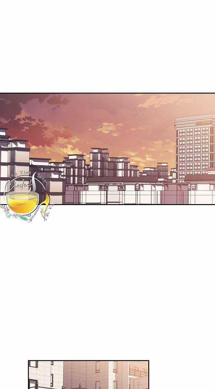 Cơ Hội Cuối Cùng - Chapter 21 - Trang 56