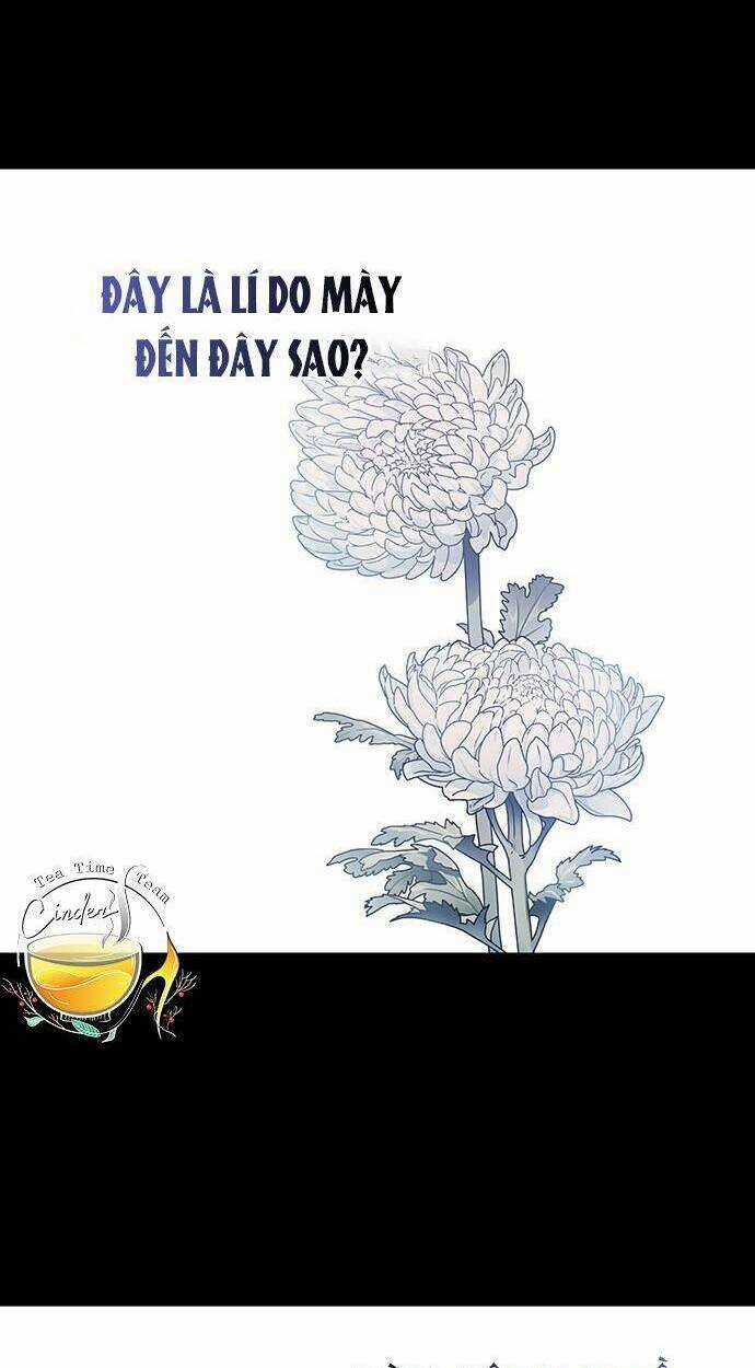 Cơ Hội Cuối Cùng - Chapter 30 - Trang 31