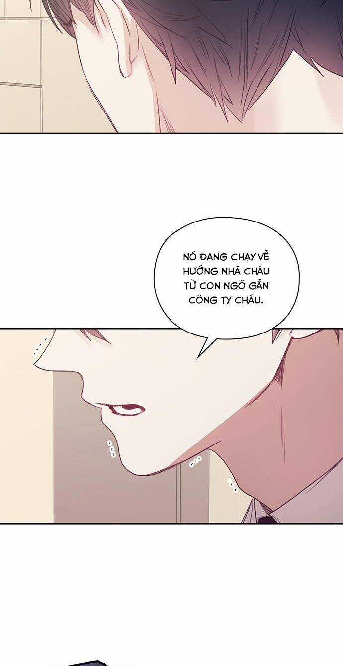 Cơ Hội Cuối Cùng - Chapter 60 - Trang 6