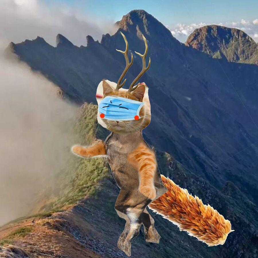 Có Linh Thú - Chương 996 - Trang 2