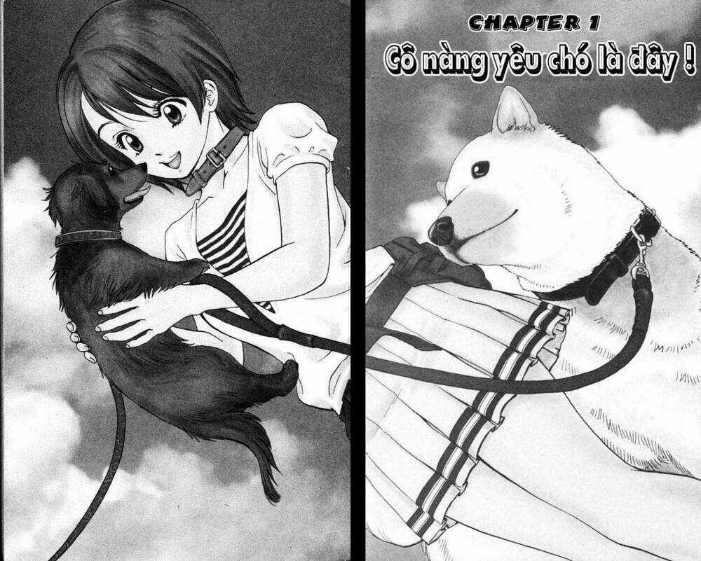 Cô Nàng Yêu Chó - Chapter 1 - Trang 3