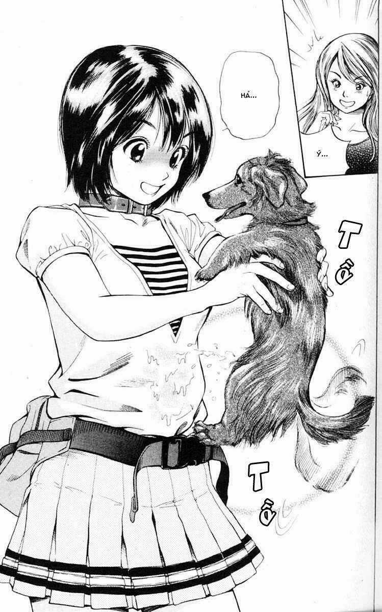 Cô Nàng Yêu Chó - Chapter 1 - Trang 5