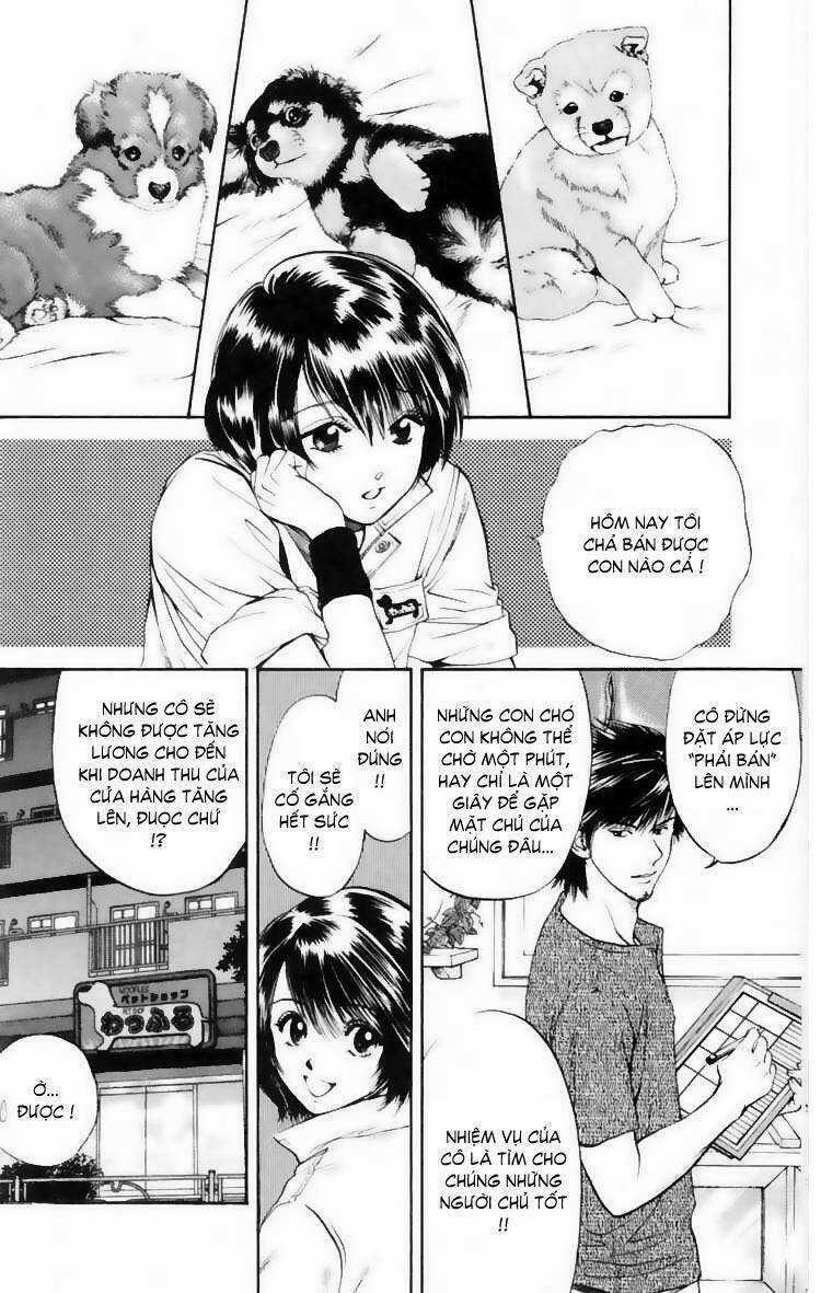 Cô Nàng Yêu Chó - Chapter 10 - Trang 6