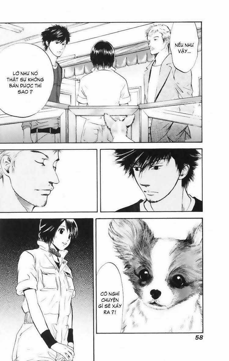 Cô Nàng Yêu Chó - Chapter 11 - Trang 19