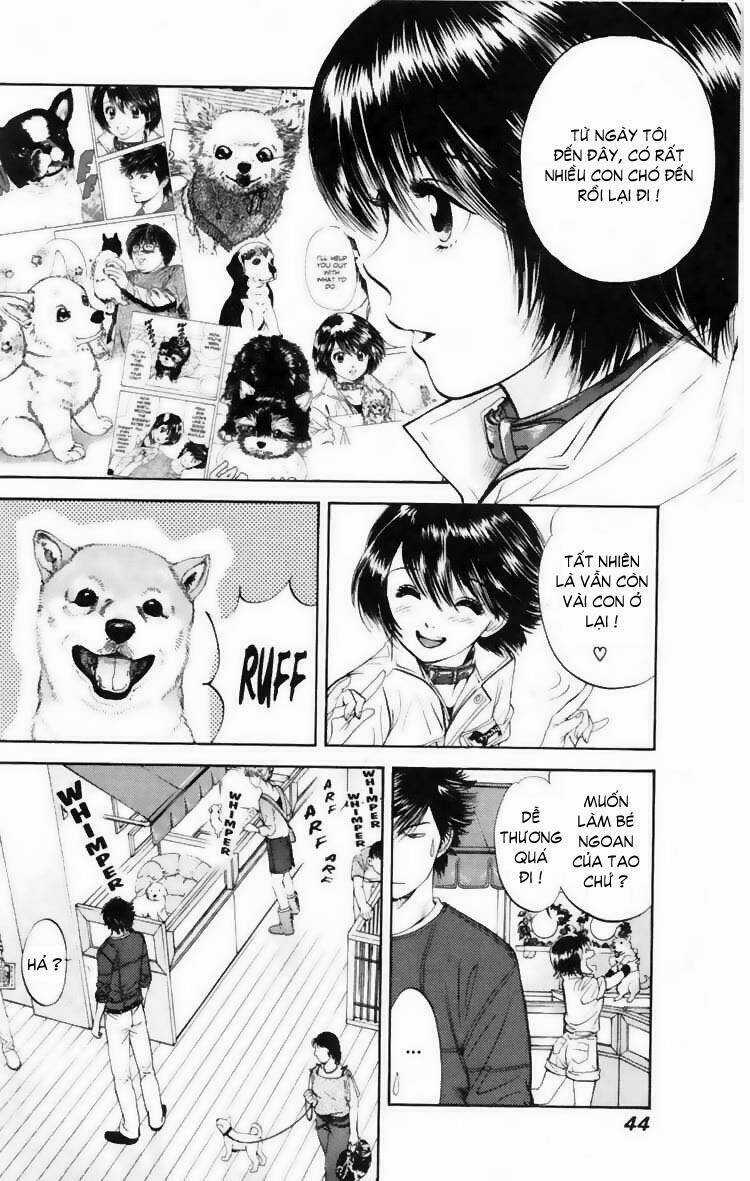 Cô Nàng Yêu Chó - Chapter 11 - Trang 5