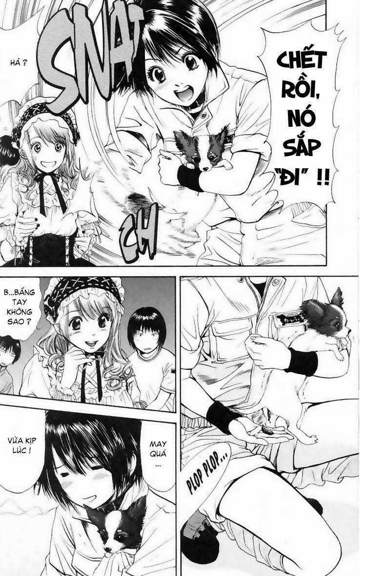 Cô Nàng Yêu Chó - Chapter 13 - Trang 10