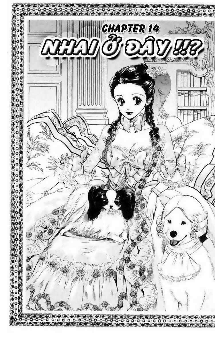 Cô Nàng Yêu Chó - Chapter 14 - Trang 1