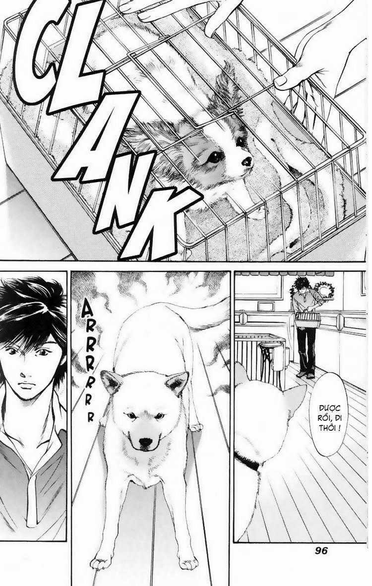 Cô Nàng Yêu Chó - Chapter 14 - Trang 2