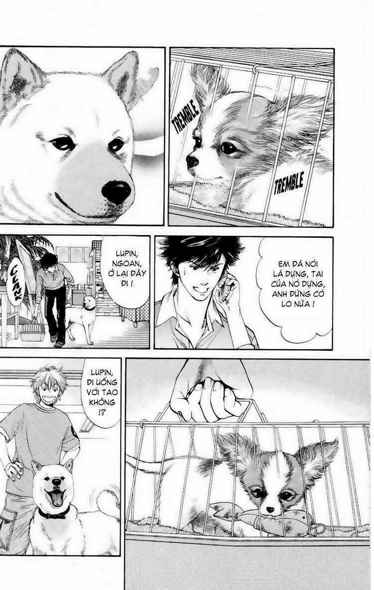 Cô Nàng Yêu Chó - Chapter 14 - Trang 4