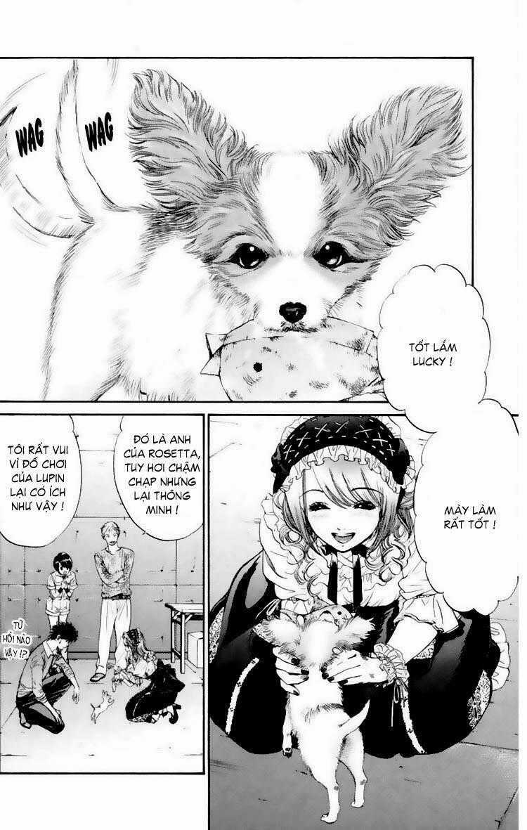Cô Nàng Yêu Chó - Chapter 15 - Trang 2