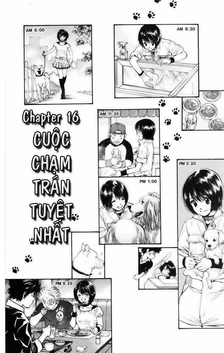 Cô Nàng Yêu Chó - Chapter 16 - Trang 1