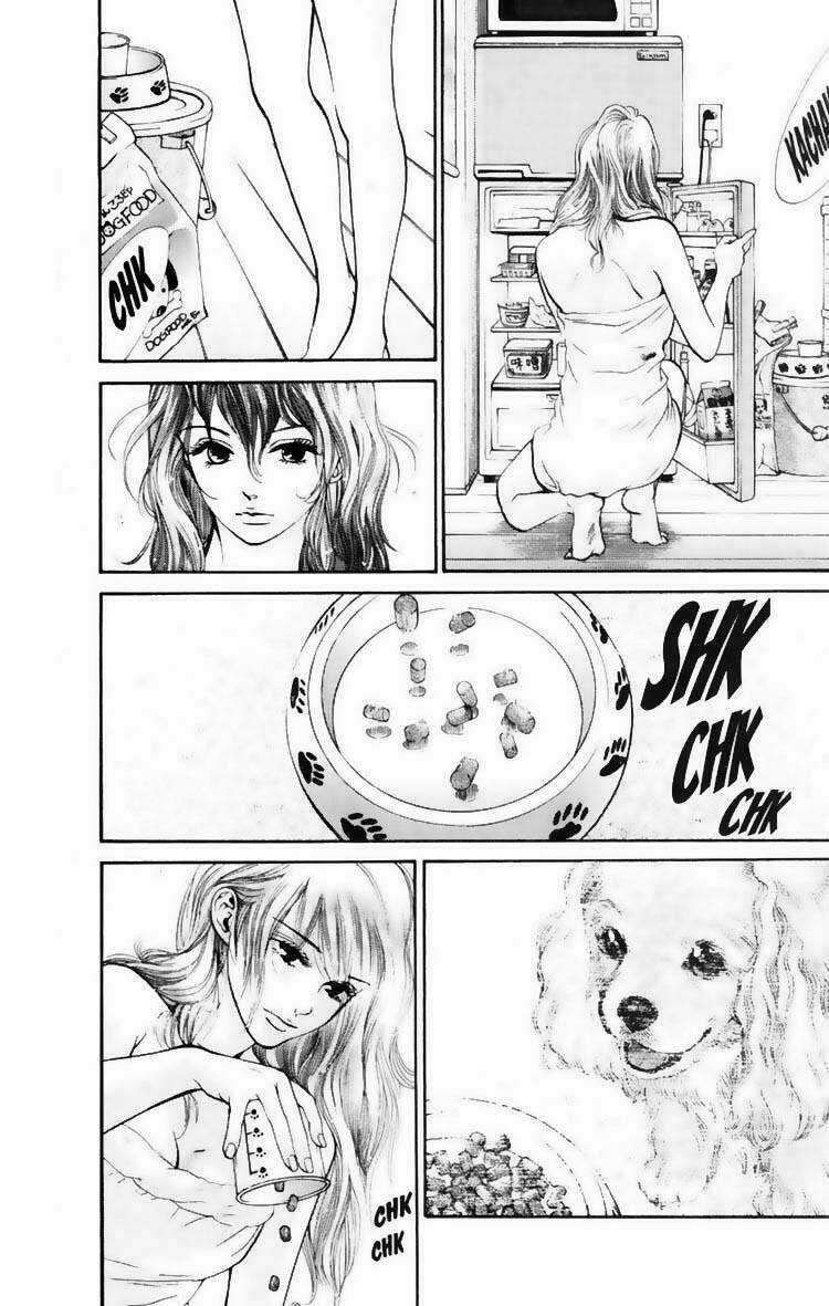 Cô Nàng Yêu Chó - Chapter 16 - Trang 5