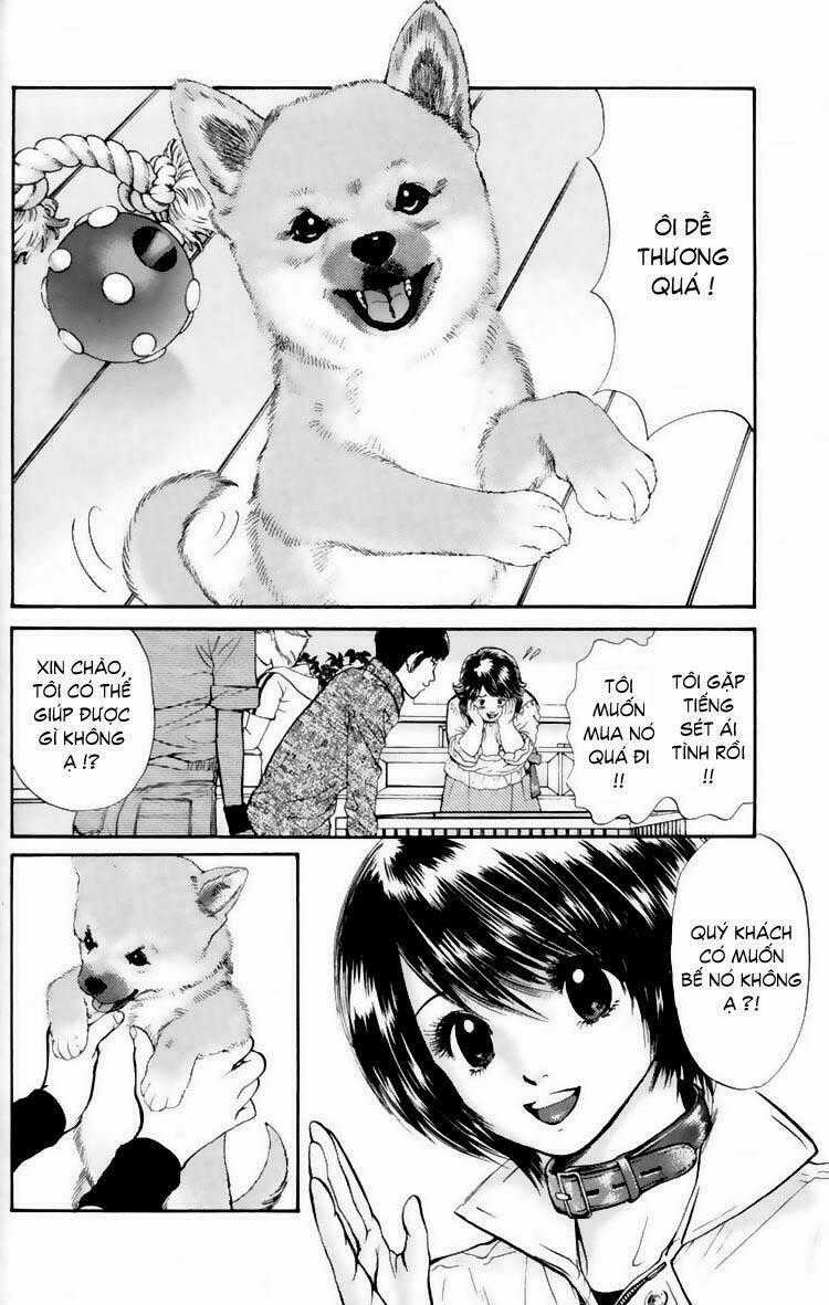 Cô Nàng Yêu Chó - Chapter 17 - Trang 2