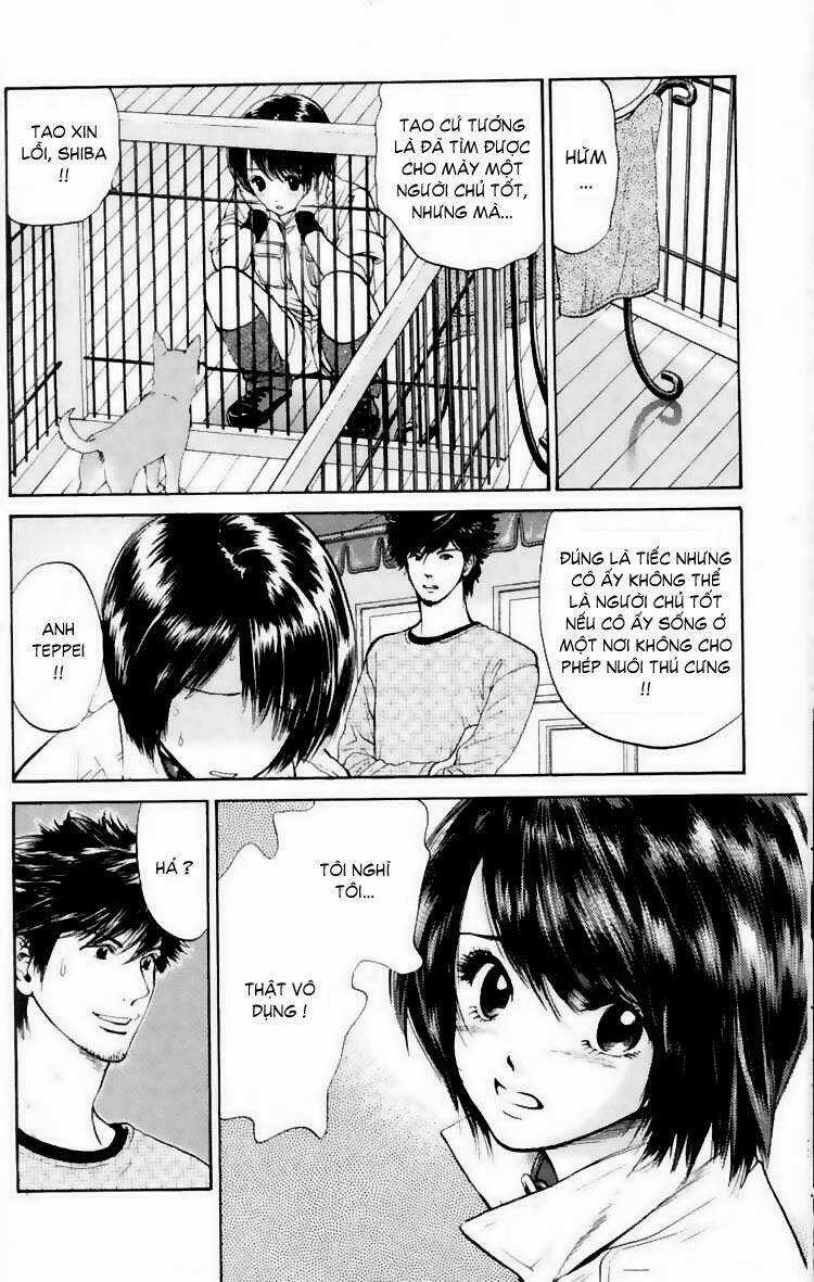 Cô Nàng Yêu Chó - Chapter 17 - Trang 4