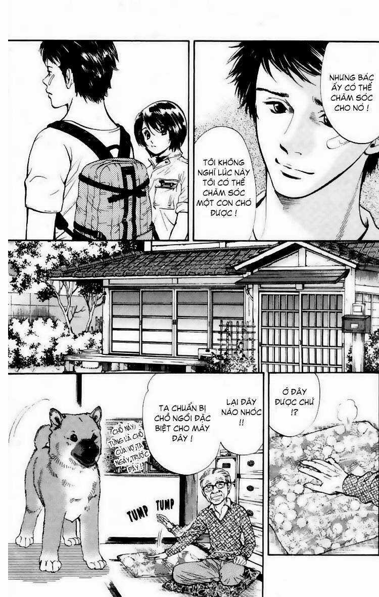 Cô Nàng Yêu Chó - Chapter 19 - Trang 8