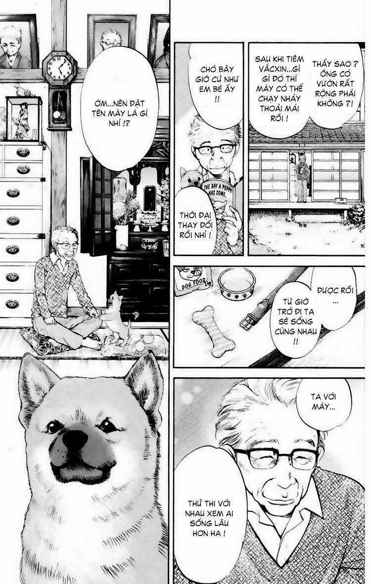 Cô Nàng Yêu Chó - Chapter 19 - Trang 9