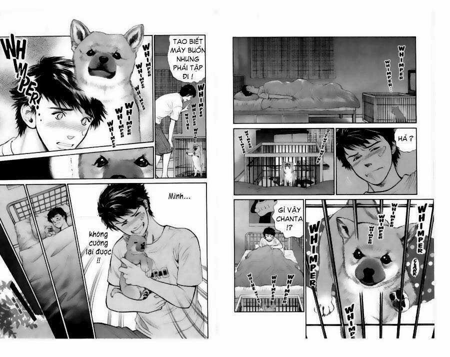 Cô Nàng Yêu Chó - Chapter 20 - Trang 11