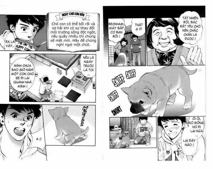 Cô Nàng Yêu Chó - Chapter 20 - Trang 6