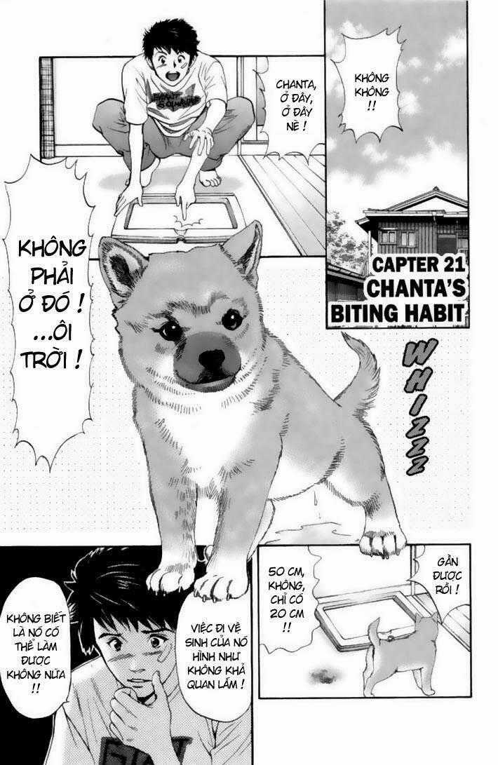 Cô Nàng Yêu Chó - Chapter 21 - Trang 1