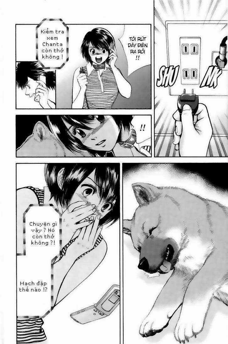 Cô Nàng Yêu Chó - Chapter 21 - Trang 14