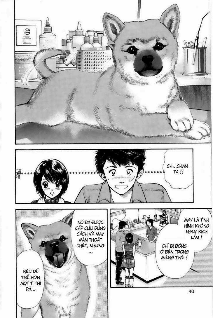 Cô Nàng Yêu Chó - Chapter 21 - Trang 16