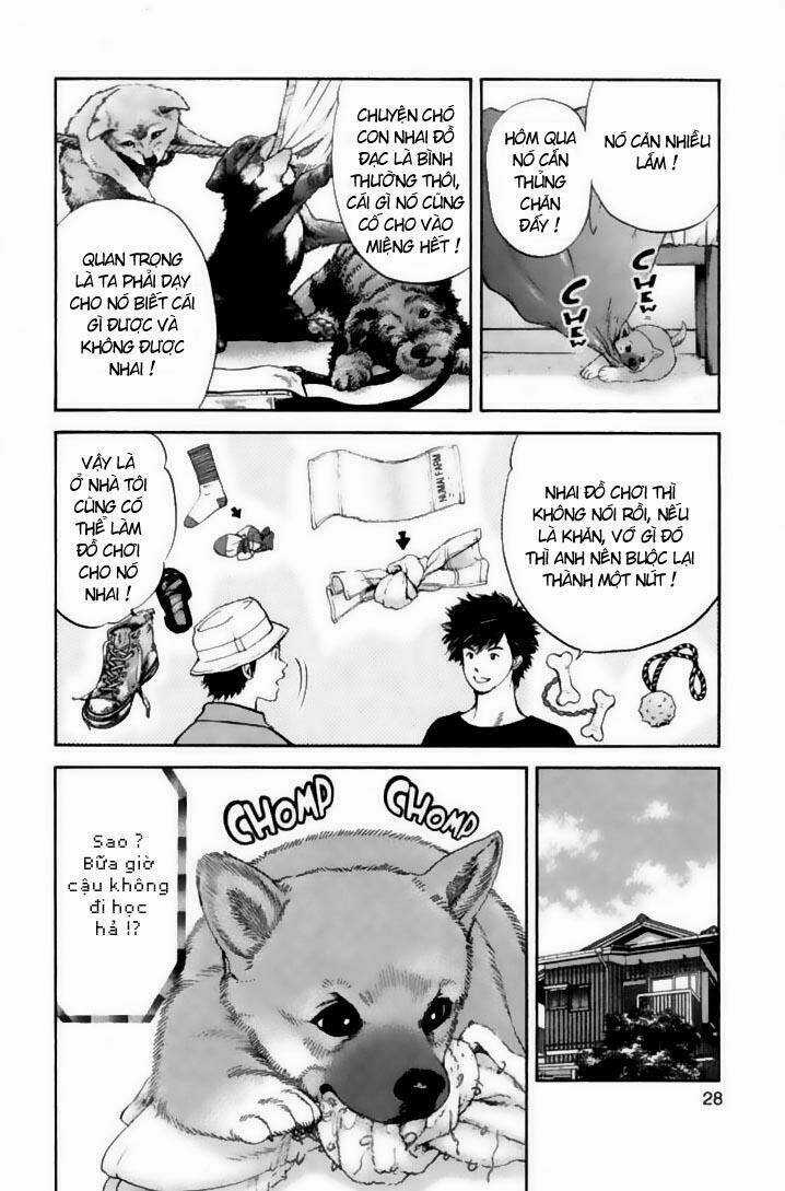 Cô Nàng Yêu Chó - Chapter 21 - Trang 4