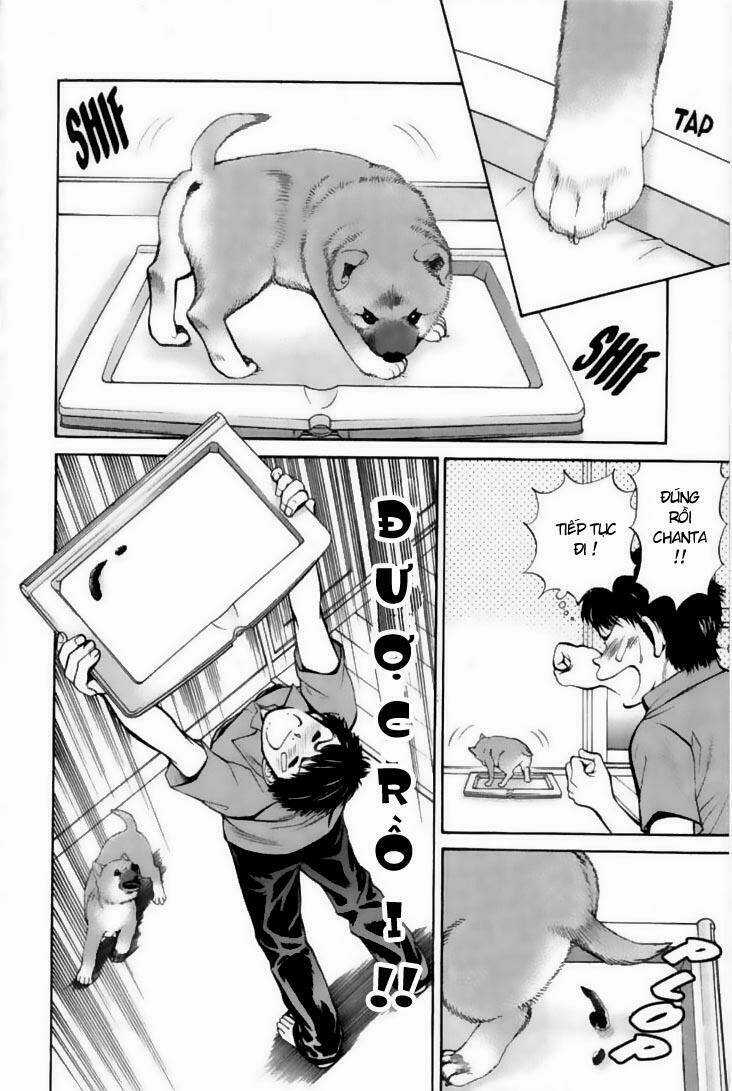 Cô Nàng Yêu Chó - Chapter 21 - Trang 6