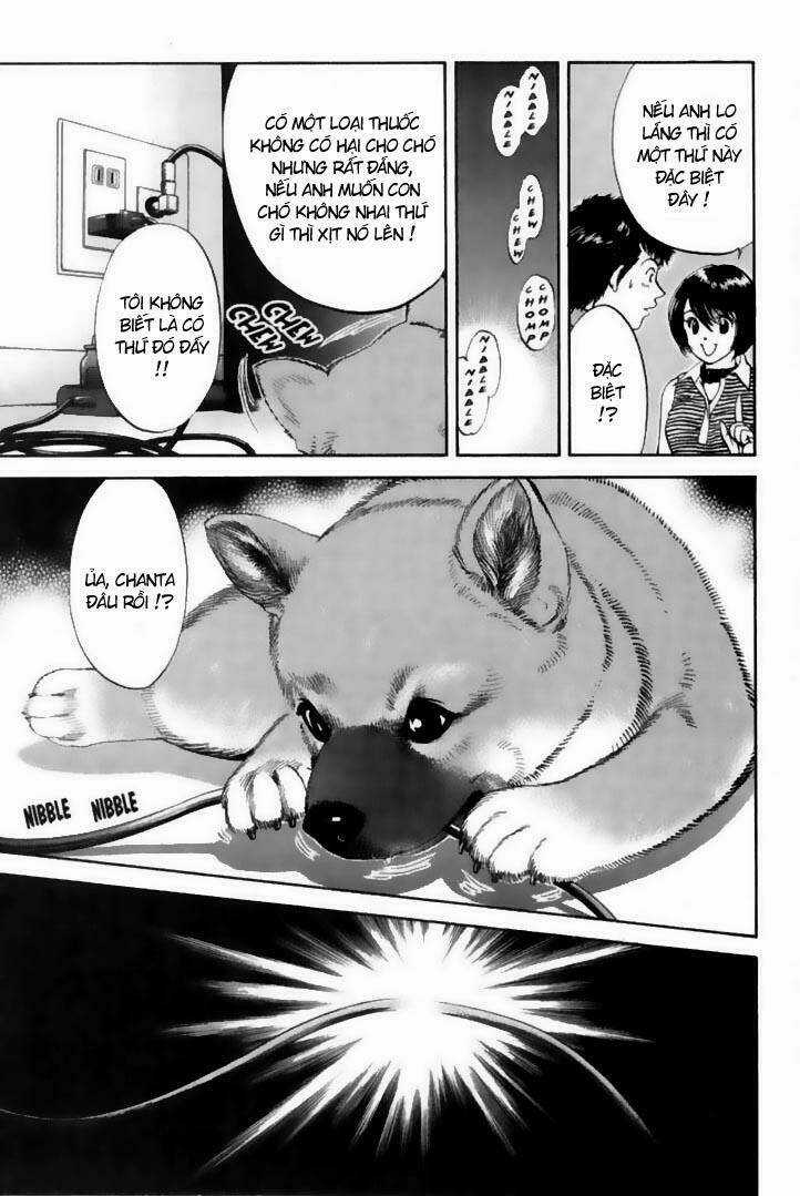 Cô Nàng Yêu Chó - Chapter 21 - Trang 9