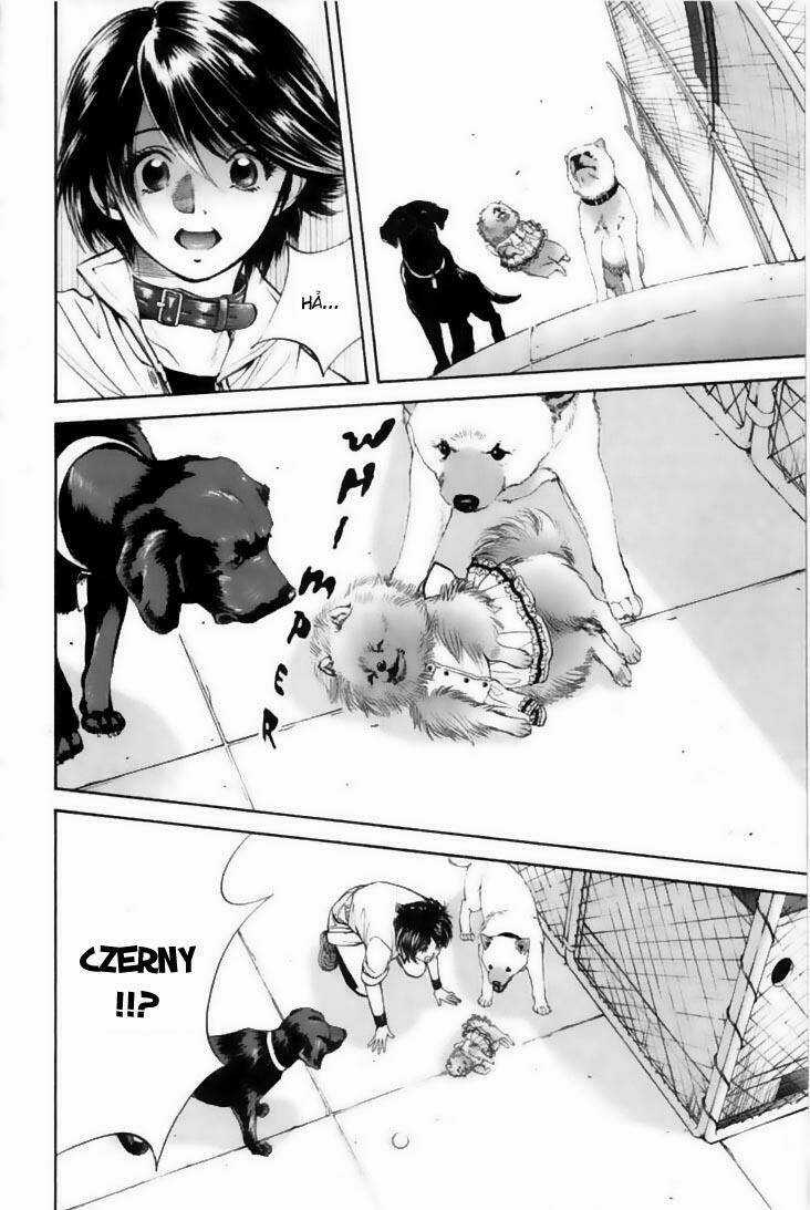 Cô Nàng Yêu Chó - Chapter 22 - Trang 18