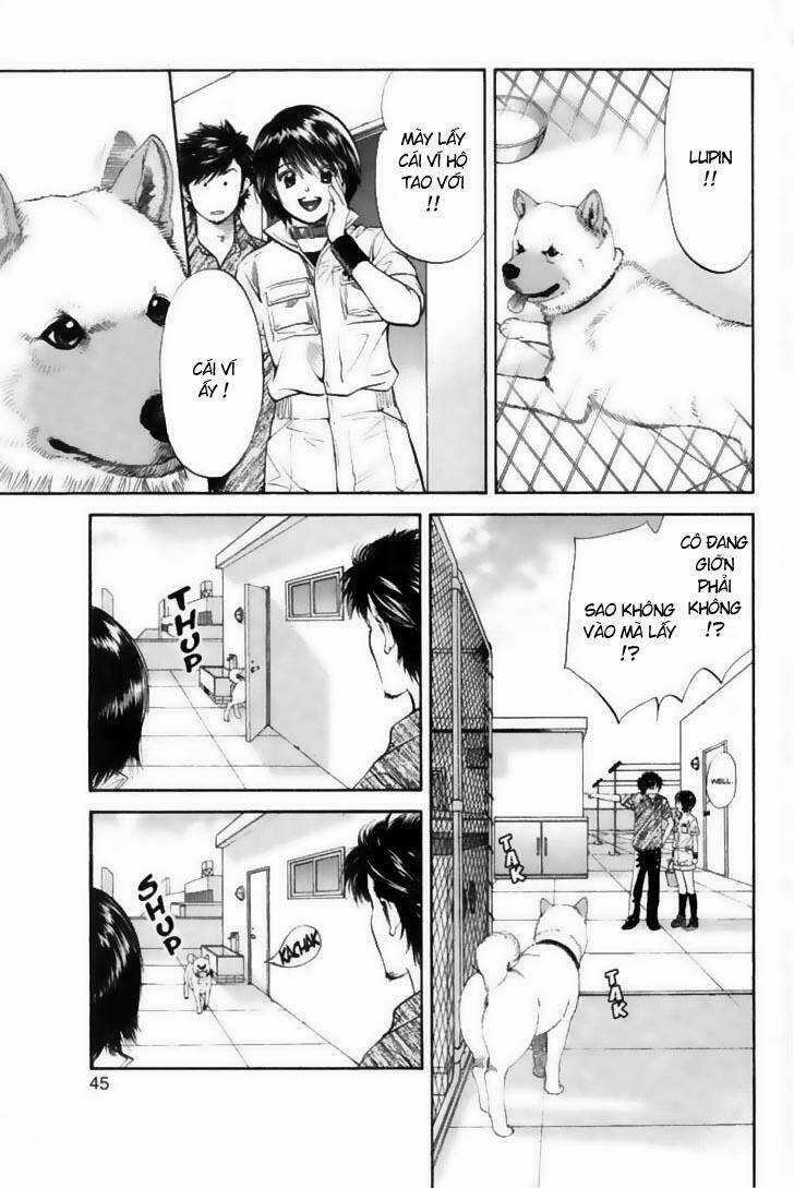 Cô Nàng Yêu Chó - Chapter 22 - Trang 3