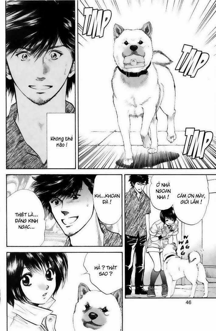 Cô Nàng Yêu Chó - Chapter 22 - Trang 4