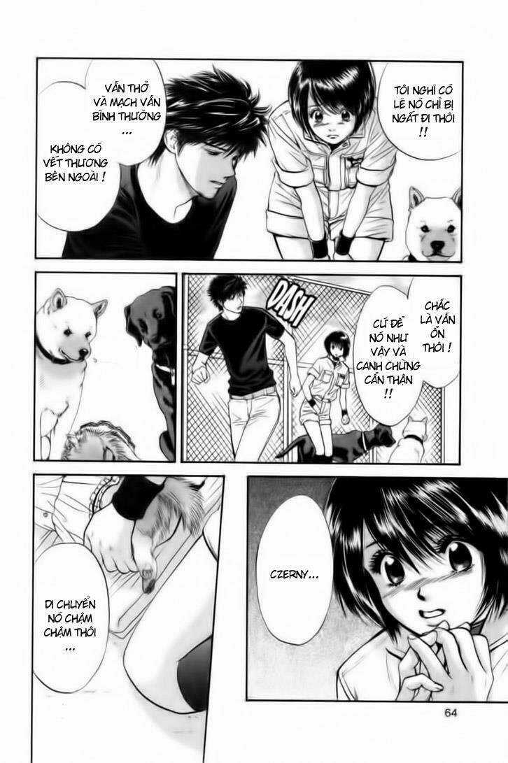 Cô Nàng Yêu Chó - Chapter 23 - Trang 3