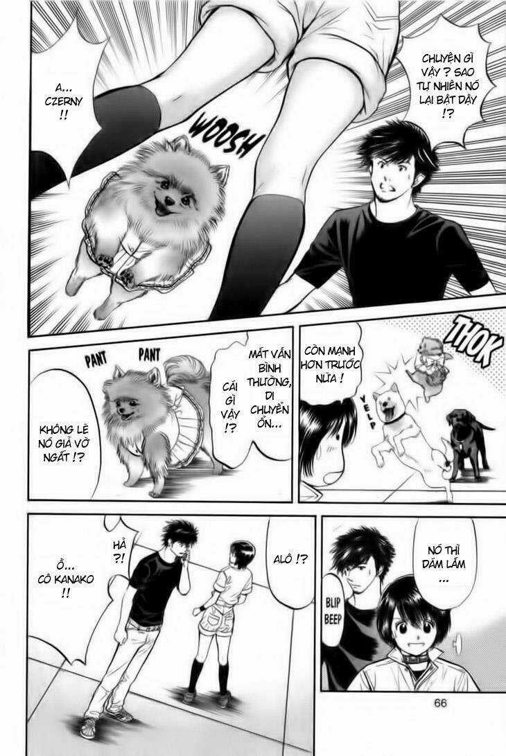 Cô Nàng Yêu Chó - Chapter 23 - Trang 5