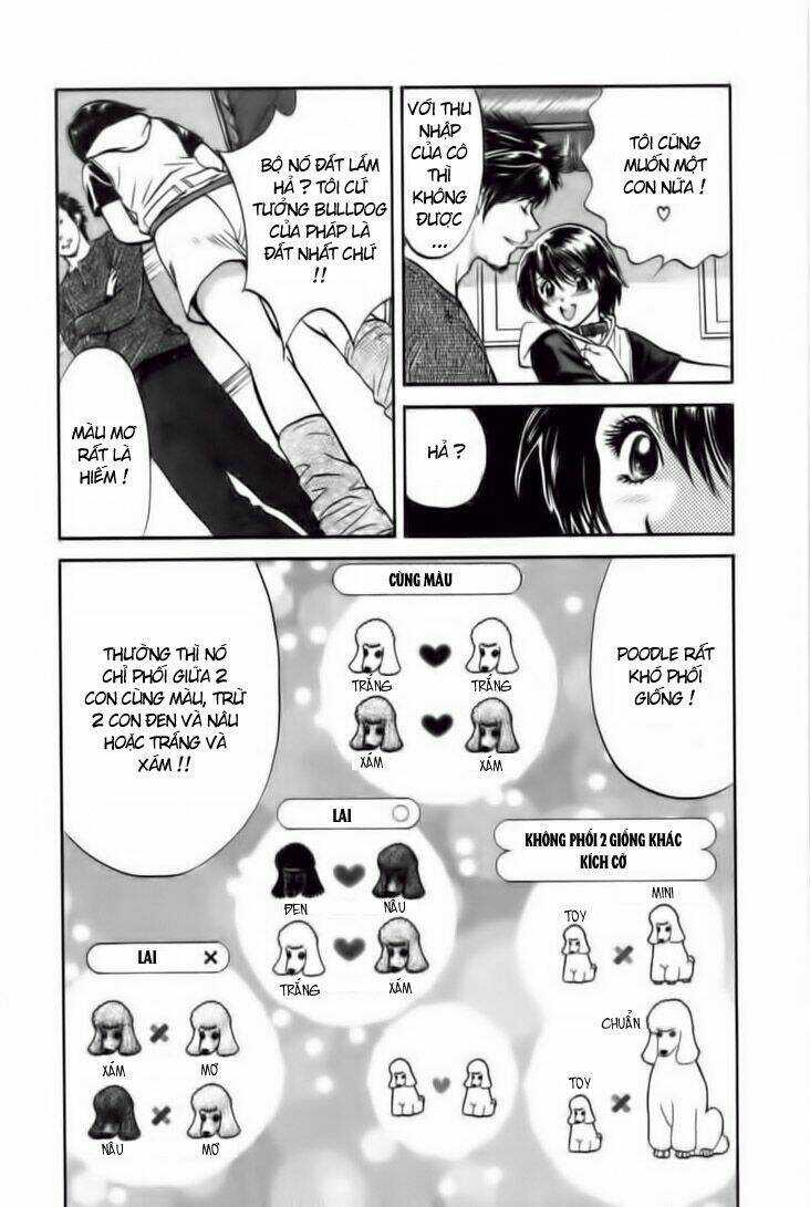 Cô Nàng Yêu Chó - Chapter 24 - Trang 4