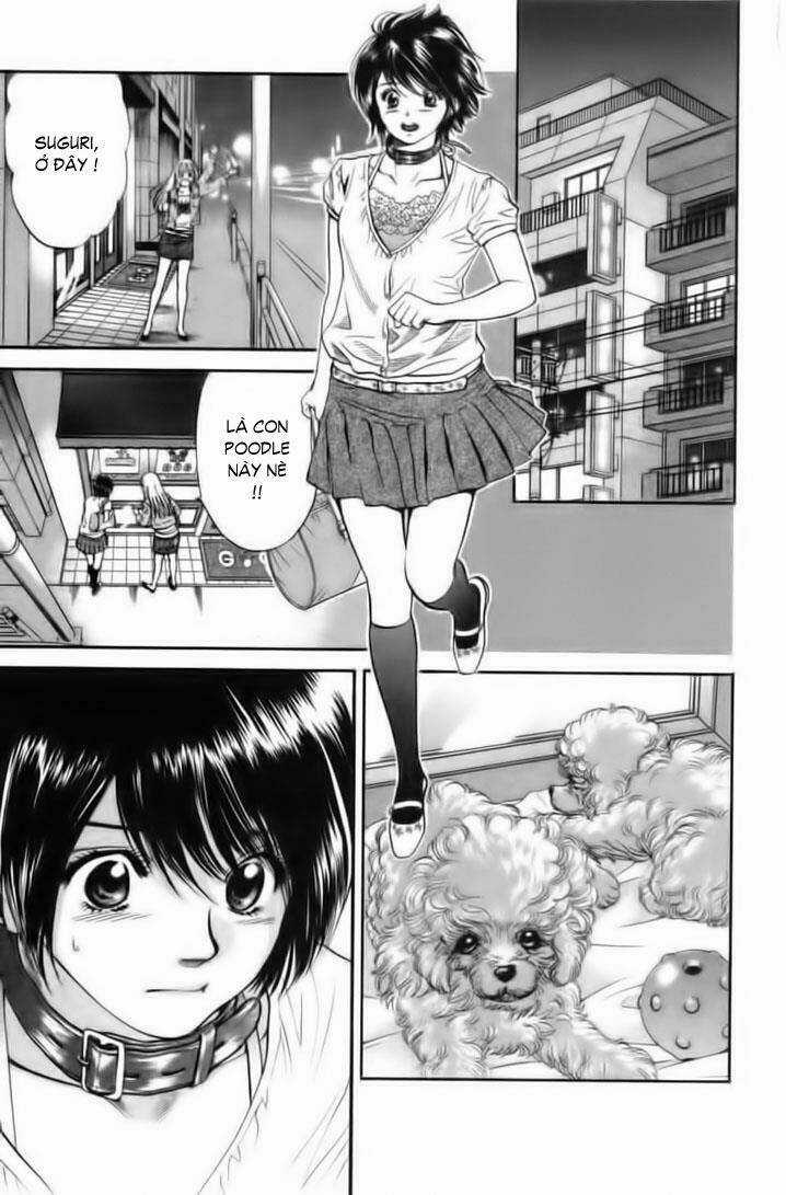 Cô Nàng Yêu Chó - Chapter 26 - Trang 3