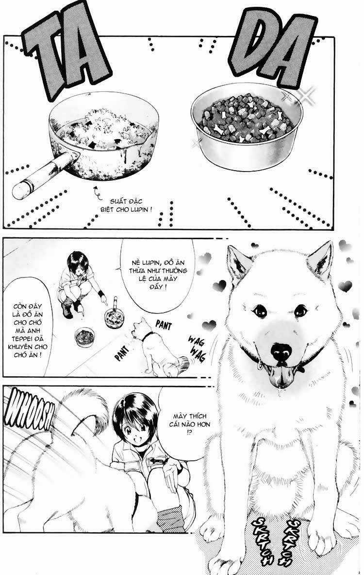 Cô Nàng Yêu Chó - Chapter 3 - Trang 12