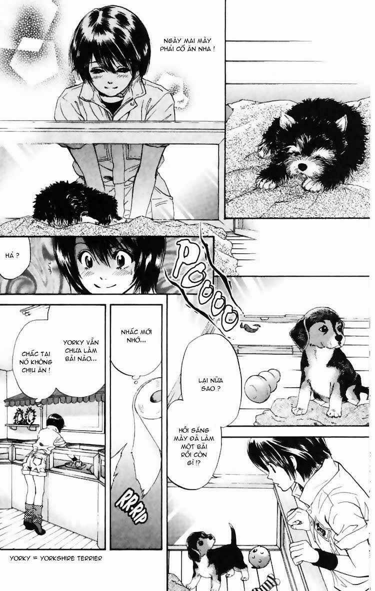 Cô Nàng Yêu Chó - Chapter 3 - Trang 14