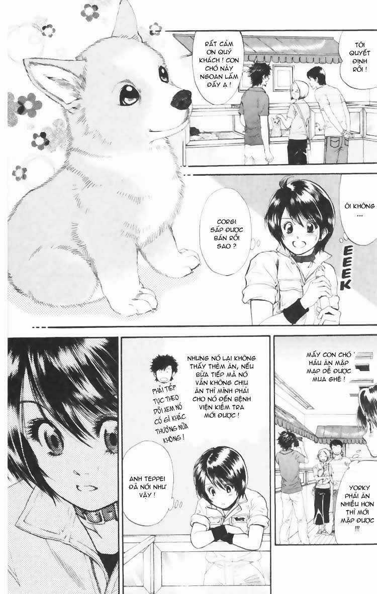 Cô Nàng Yêu Chó - Chapter 3 - Trang 17