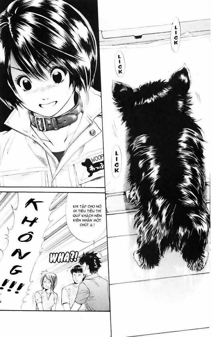 Cô Nàng Yêu Chó - Chapter 3 - Trang 18